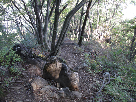 20161104hike (135)